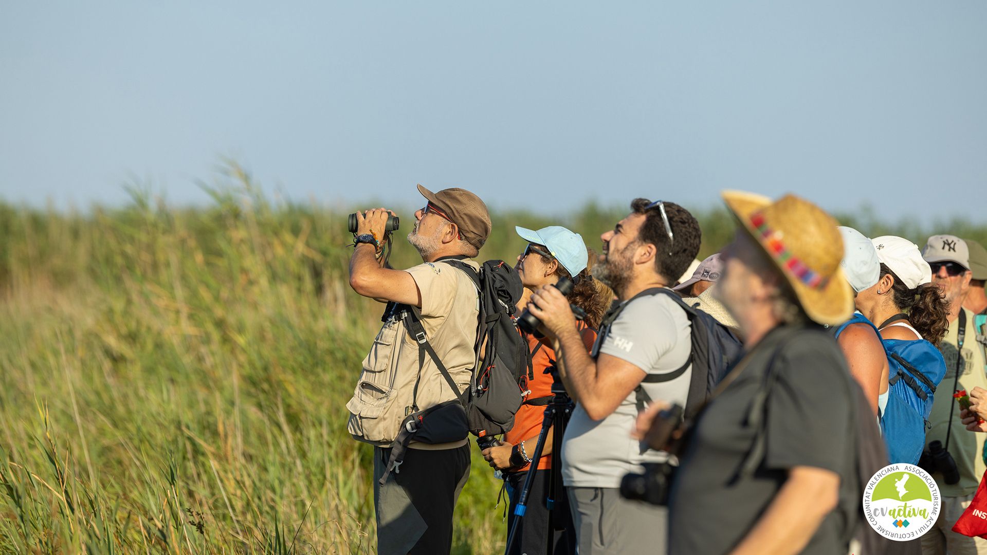 Producción audiovisual medio natural España — fotografía fauna aves Prat de Cabanes