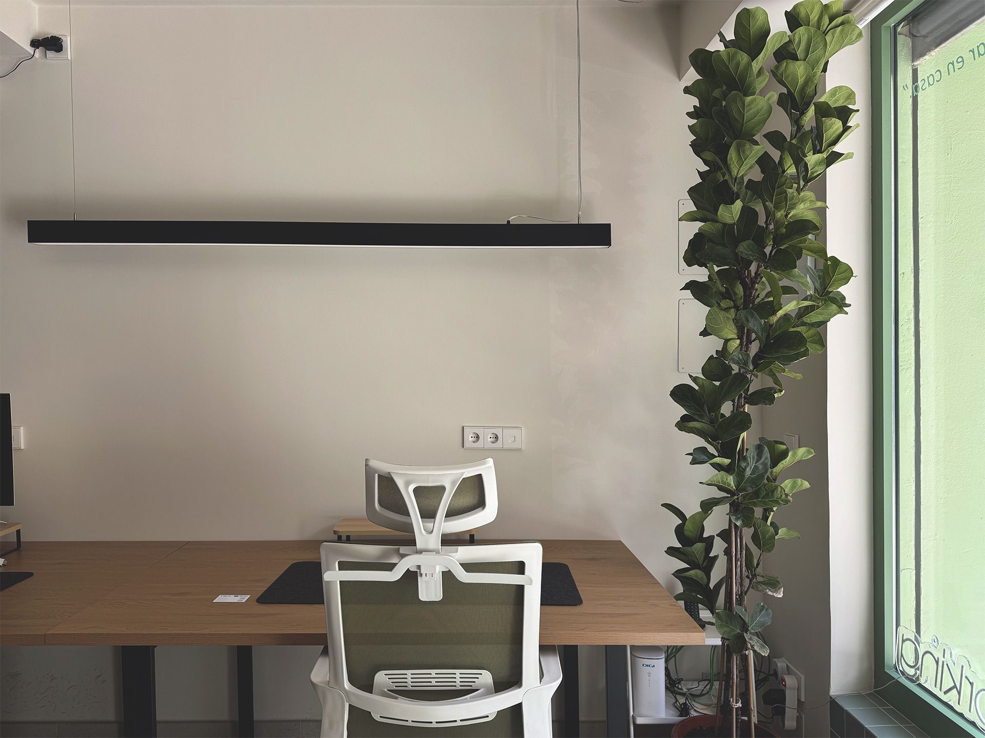 Puesto de trabajo del coworking de MediaPS en Benimaclet, con luz natural y plantas